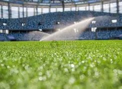 刘国梁谈与,叶诗文相识,张继科催促,星耀娱乐官网,星耀娱乐官网入口,星耀娱乐网站,星耀娱乐官网娱乐,星耀娱乐,星耀娱乐登录入口