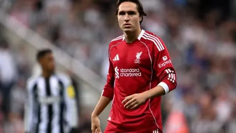 星耀娱乐 产品 220445 4mk