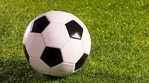 撒贝宁家庭同游曝光，夫妻恩爱陪伴儿子嬉戏