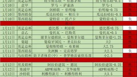“全红婵退出国家队传闻澄清：已返京与国家队同训——广州日报微博报道”